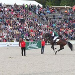Heiner Eppinger vom Lerchenhof, Vorsitzender der LBV-Fachgruppe "Pferdehaltende Betriebe", hier beim Sprung über einen Werbebanner, leitete das Schaubild über "Sport und Freizeit mit Pferden" mit der Reitergruppe Lerchenhof.