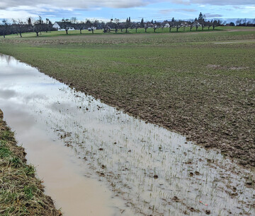 Stehen Flächen längere Zeit unter Wasser, hat dies erhebliche Auswirkungen auf Boden und Pflanzen.