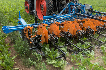 Nur bei optimaler Anpassung an den Pflanzenbestand können bestmögliche Hackergebnisse erzielt werden.