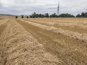 Wird Getreidestroh nach der Ernte abgefahren, sollten Sie einige Aspekte im Auge behalten.