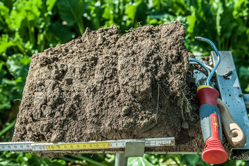 Die Bodenstruktur beeinflusst mageblich Wasser-, Luft- sowie Nhrstoffversorgung der Kultur.