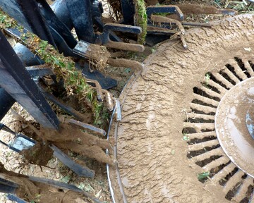 Samen von Unkräutern und Schosserrüben können über verschmutzte Rode- und Transportorgane leicht über Schlaggrenzen hinweg verschleppt werden.