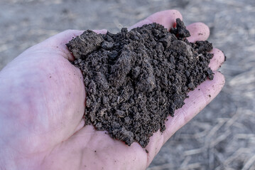Eine hohe Krümelstabilität ist wichtig, um Erosion und Bodenschadverdichtungen vorzubeugen.