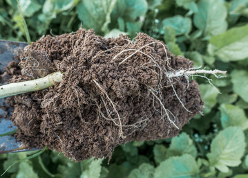 Eine hohe Krmelstabilitt ist wichtig, um Schadverdichtungen und Erosion zu vermeiden.