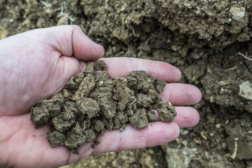 Polyedergefüge ist auf Böden mit hohen Tongehalten anzutreffen.