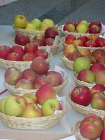 In Blindverkostungen wurden die Vorlieben der Verbraucher für bestimmte Äpfel ermittelt.