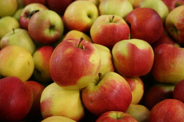 pfel liegen beim Obstverzehr nach wie vor vorne in der Gunst der Verbraucher.