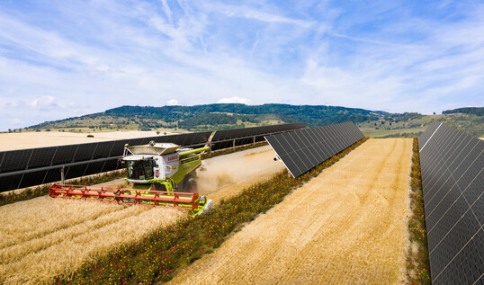 Die BayWa r.e. AG vereint Solarstromerzeugung und Landwirtschaft in fnf Lndern mit 6,5 Millionen Euro EU-Frderung.