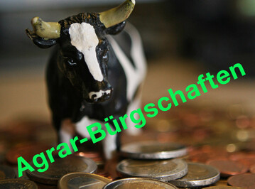 Ab dem 16. April 2020 gibt es Liquidittssicherungsdarlehen an, die mit einer Brgschaft kombiniert sind.