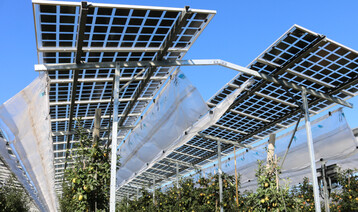 Wann und wie etabliert sich die Agri-PV tatschlich und welchen Beitrag kann diese Technologie bei den ambitionierten Zielen fr Freiflchen PV berhaupt leisten? Damit beschftigten sich die Redner bei der ffentlichen Anhrung im Landtag am 26. April.