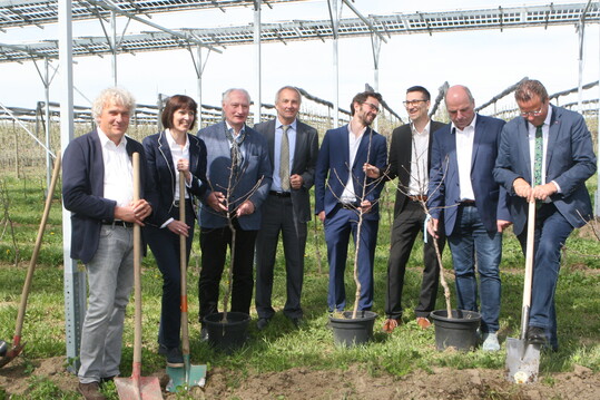 Zum Projektstart der Agri-PV-Anlagen im Obstbau pflanzte Landwirtschaftsminister Hauk (r.) mit Projektbeteiligten die letzten Apfelbume der Anlage am KOB in Bavendorf.