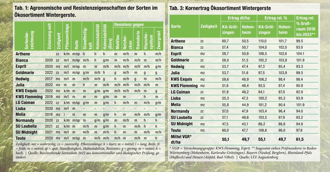 Tabellen Agronomische und Resistenzeigenschaften sowie Kornertrag kowintergerste LSV 2023