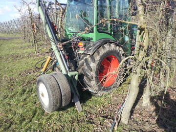 Bei starkem Baumwachstum kann mit einem Wurzelschnitt korrigierend eingegriffen werden.