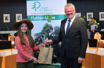 Die Baumknigin Caroline Hensel berreicht den Baum des Jahres 2019 dem Ausschussvorsitzenden Alois Gerig.