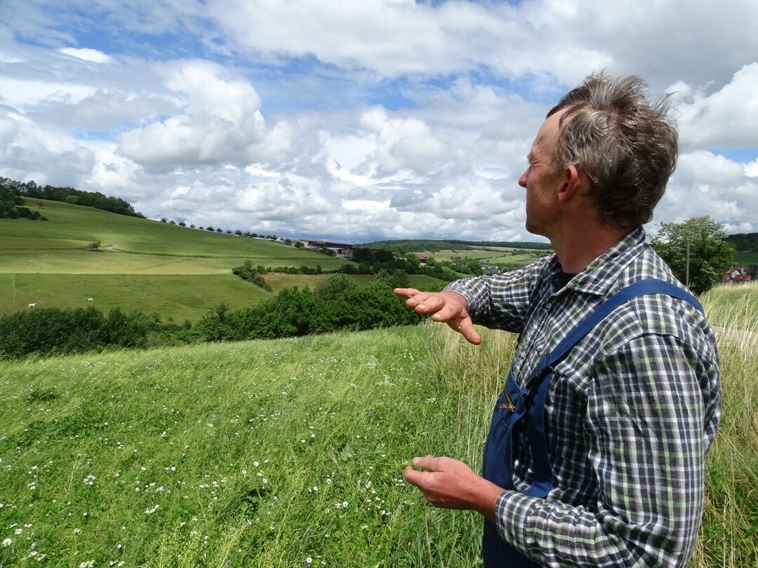 Anton Scheidel auf seinem Linsen-Feld. Im Hintergrund ist auf dem gegenüberliegenden Berghang
sein Hof zu sehen.