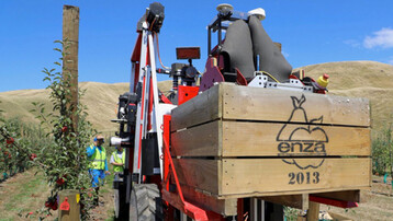 In Neuseeland experimentiert die BayWa-Tochter T &G mit Pflckrobotern in der Apfelernte.