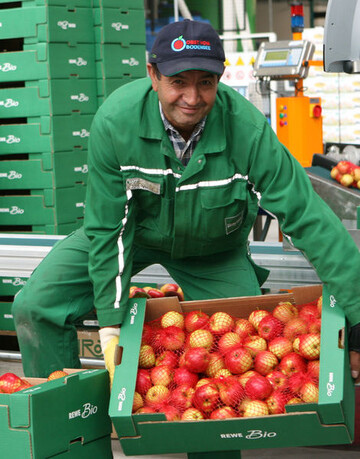 Am Bodensee wird in diesem Jahr deutlich mehr Bioware als im Vorjahr erwartet.