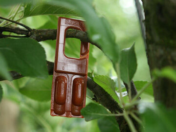 Biologische Verfahren wie beispielsweise die Pheromonverwirrung gegen Befall mit Apfelwickler haben sich zum Teil in der Praxis etabliert, es gibt aber noch viel Forschungsbedarf für neue Verfahren.