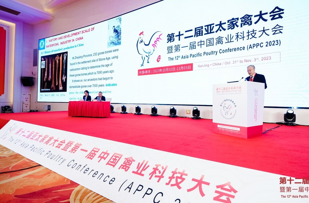 Die 12. Asia Pacific Poultry Conference (APPC) fand vom 1. bis 3. November 2023 in Nanjing, China, statt.