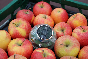 Die neue Respirationsmesskugel eignet sich für den mobilen Einsatz im Obstlager.