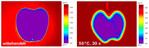 Die Heißwasserbehandlung eines Apfels bei 55 °C für 30 Sekunden nach Entnahme aus dem Lager (etwa 5 °C) führt zu keiner maßgeblichen Erwärmung des Fruchtfleischs (Thermografie-Aufnahme, links unbehandelt).