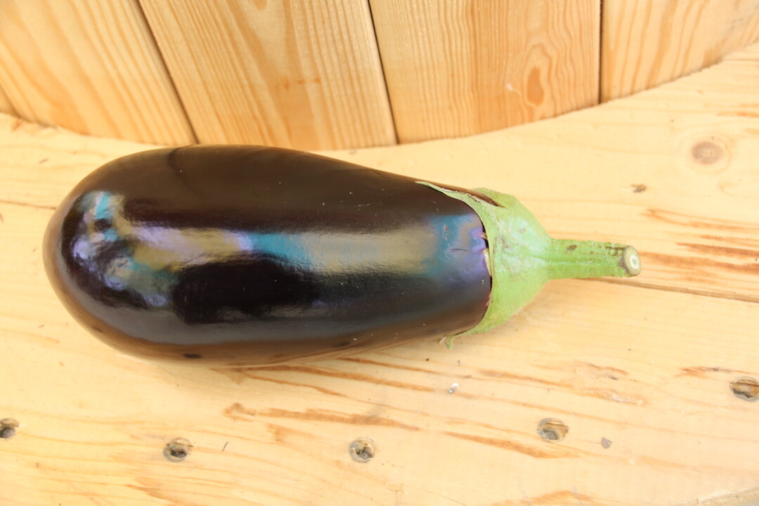 Stachelfreie Ernte garantiert Aubergine Lemmy von Enza Zaden. Sie ist etwas lnglicher als das restliche Sortiment und bildet keine Stacheln am Kelchblatt aus.  