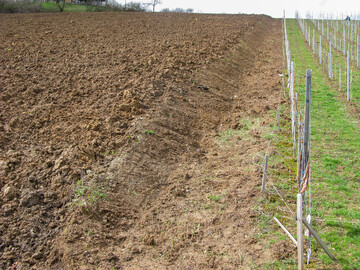 Kommt es im Zuge einer Neuanlage zu Abgrabungen und Auffllungen, mssen die dadurch entstehenden Nachteile immer beim Verursacher liegen. Trotzdem bietet es sich an, die Manahme zuvor beim Nachbarn anzukndigen.