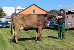 Die Spitzenjungkuh ersteigerten die Jungzüchter als Hauptpreis der Tombola anlässlich der AHG-Schau am Samstagabend, 22. Oktober in der Schwabenhalle in Buchloe. Wer mit etwas Glück stolzer Besitzer dieser typstarken Fantastic-Tochter mit 30 kg Tagesgemelk von Peter Kirchmann, Stiefenhofen-Holzleute werden möchte, sollte sich den Termin schon vormerken.