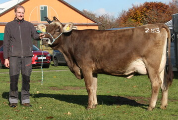 Den Tageshchstpreis bei der letzten Auktion der Allguer Herdebuchgesellschaft in Kempten erzielte diese Volvo-Tochter mit 30,5 kg Tagesgemelk von Werner Bertele aus Sulzberg-Schnitzen. Fr 2460 Euro ging die Bio-Jungkuh ins Unterallgu.