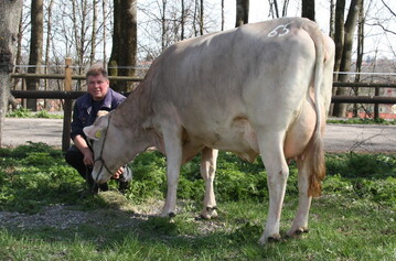 Fr einen Paukenschlag sorgte bei der letzten Auktion in Kempten diese Bajazzo-Tochter von Josef Zwiesler, Opfenbach-Ruhlands, die nach spannendem Bieterduell fr stolze 3450 Euro nach Sdtirol ging.