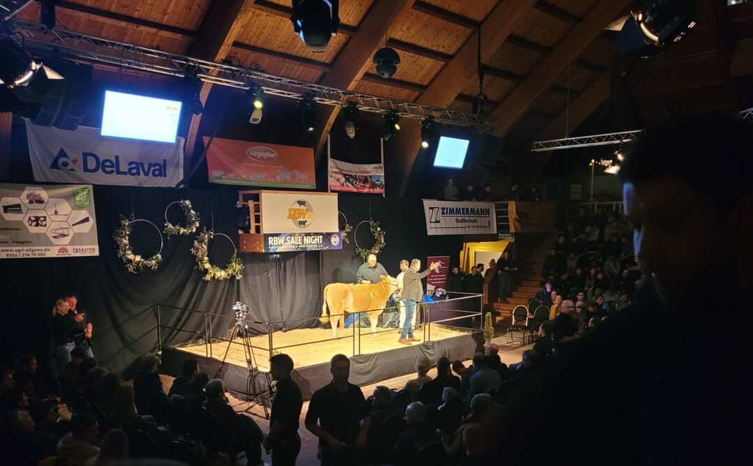 Blick auf die Bhne: Die Auktionshalle war mit Auktionsbhne, Werbestnden, Bewirtung und Online-Auktions-Infrastruktur von Farmersbid sowohl auf die Gste in der Halle, als auch auf die Gste zuhause an den Bildschirmen bestens vorbereitet.