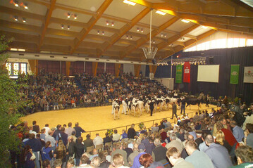 Bei der Holstein-Schau in der Halle Gartlage Osnabrck werden die aktuellen Spitzentiere aus dem Osnabrcker Zuchtgebiet zu sehen sein.