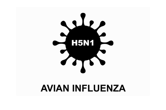 Zwei neue Flle von avirer Influenza H5N1 bei Geflgelmitarbeitern in Grobritannien entdeckt.