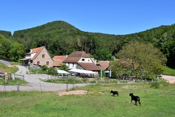  Idyllisch im Dahner Felsenland gelegen: der Brenbrunnerhof. Der Vierseitenhof steht unter Denkmalschutz. 