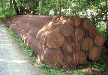 Das Netz setzt kontrolliert einen insektiziden Wirkstoff frei und schtzt so das Holz vor Schdlingen wie dem Borkenkfer.