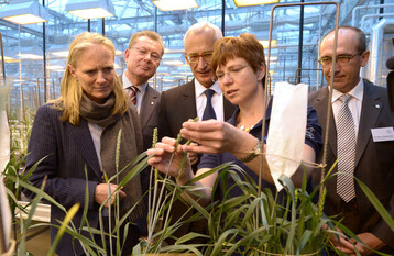 Prof. Dr. Birgitta Wolff, Ministerin fr Wissenschaft und Wirtschaft, Dr. Rdiger Scheitza (Vorstandsmitglied der Bayer CropScience AG) demonstrieren zusammen mit Laborantin Sylvia Mller sowie Prof. Dr. Wolfgang Plischke (Vorstandsmitglied der Bayer AG) und Dr. Elmar Weissmann (Leiter des Weizenzucht-Zentrums) die Bestubung von Weizen (von links).