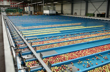 Der BayWa-Obstgromarkt Kressbronn hat ein Energiemanagementsystem eingefhrt und lagert, sortiert und verpackt nun klimaneutral.