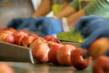 Bei der Obstvermarktung steuert die BayWa mit gro�en Schritten auf ihr Ziel der Klimaneutralit�t zu und zwar an allen Standorten..