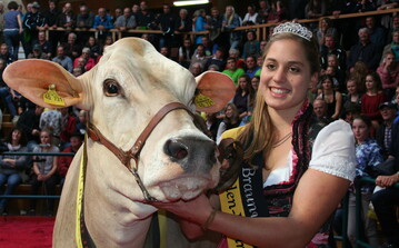 Die frischgekrnte Braunviehknigin Beate Bhler mit Grand-Champion Kuh, der Payssli-Tochter Roxane vom Betrieb Friedrich Sauter aus Bad Wurzach.