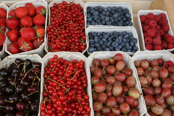 Trotz eines Rckgangs der Erntemenge bei Strauchbeeren im Vergleich zum Vorjahr liegt die Produktion noch auf dem Durchschnittsniveau der letzten sechs Jahre. 