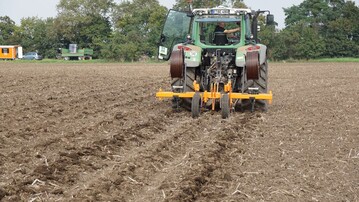 Die Schläuche für den Versuch mit der Tropfenbewässerung werden verlegt.