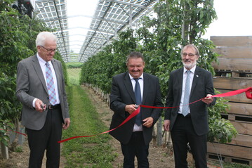 Zusammen mit Obstbauer Hubert Bernhard (Bildmitte) und Prof. Andreas Bett (r.) vom Fraunhofer-Institut fr Solare Energiesysteme in Freiburg hat Ministerprsident Winfried Kretschmann eine Agri-PV-Anlage in Kressbronn erffnet.