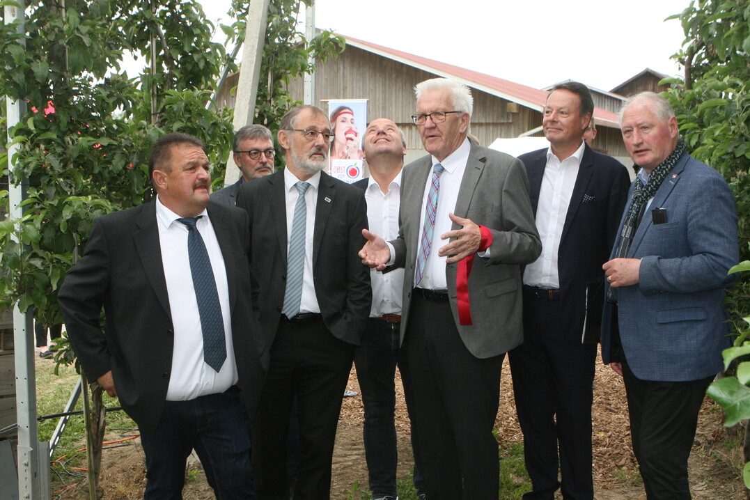 Brokratische Hemmnisse bei der Installation von Agri-PV-Anlagen kamen beim Gang durch die Obstanlage zur Sprache.