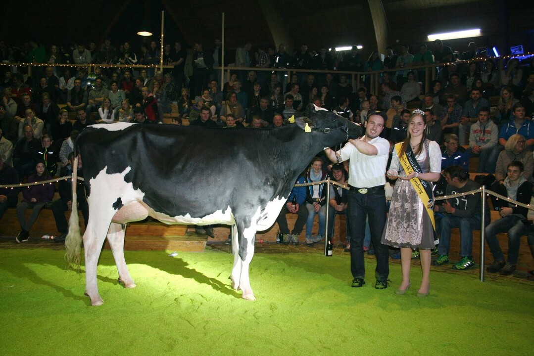Bei den Holsteinjungkhen entschied eine groe, lange und mit bestem Euter ausgestattete Fever-Tochter aus dem Zuchtbetrieb von Kerstin und Markus Mock in Markdorf das Rennen um den Siegertitel.