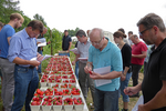 In Deutenkofen konnten verschiedene Erdbeerneuheiten verkostet werden.