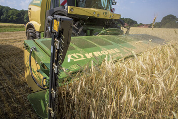 Die seitlichen Trennmesser sollen gewhrleisten, dass das Krone XDisc auch in schwierigen Bestnden immer sauber arbeitet. 