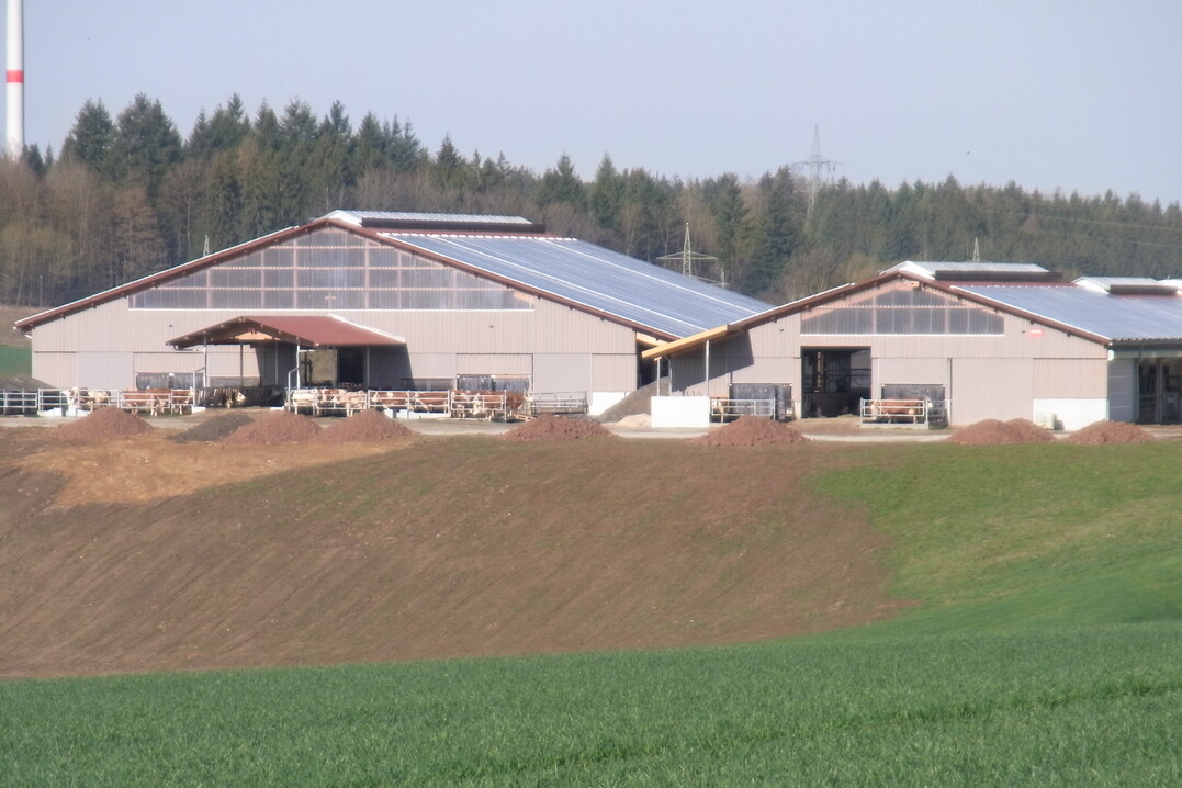   Der neugebaute Boxenlaufstall von David Mayer und seinen Eltern Petra und Klaus Mayer unweit von Ellwangen an der Jagst (Ostalbkreis) ist schon von weitem zu sehen. Die beiden Neubauten beherbergen 180 Fleckviehkhe und die komplette Nachzucht sowie ein Innenmelker-Karussell mit 36 Melkpltzen.