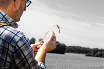 Um Landwirte wegen der engen Liquidittslage nach dem trockenen Sommer 2018 zu entlasten, hat AGCO Finance die Finanzierungskonditionen verbessert.