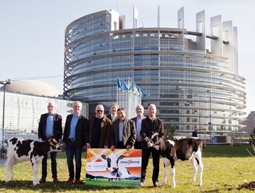 Die Vertreter der Zuchtorganisationen trafen sich zu ihren Gesprchen in Straburg (v.l.n.r.): Jrgen Hartmann, Phnix Group, geschftsfhrender Vorstand RUW, Heinrich Buxtrup, Phnix Group, Vorstandsvorsitzender RUW, Pascal Moretti, Vizeprsident Elitest, Dr. Alfred WEIDELE, Phnix Group, Geschftsfhrer RBW, Damien Tiha, Prsident Elitest, Philippe Sibille, Direktor Elitest, Josef Volkwein, Phnix Group, Vorstandsvorsitzender RBW.