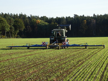  Einsatz des Zinkenstriegels im Herbst in Wintergerste.